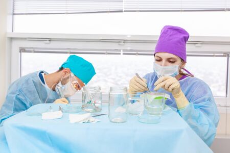 Baldness treatment. Hair transplant. Surgeons in the operating room carry out hair transplant...