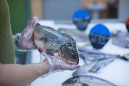 Young male athlete in green T-shirt and gloves is holding frozen fish choosing food in a grocery store.の写真素材