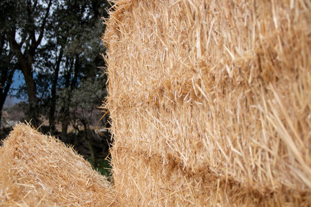 Straw bales stacked on the farm for animal feedの写真素材