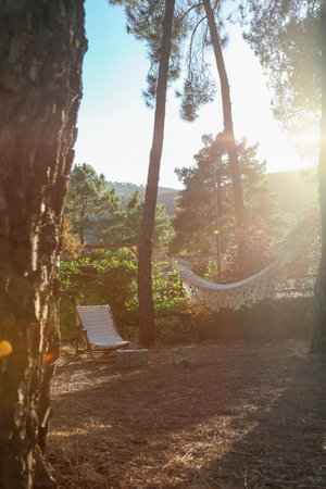 White cloth hammock hanging between two trees at sunset in a mountain villageの写真素材