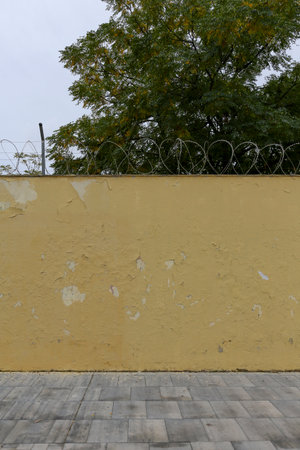 Texture of a brick wall with old, peeling paintの写真素材