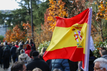 A group of self-employed workers are demonstrating in the city of Madrid, demanding respect for their rights while carrying flags, megaphones, and whistles.のeditorial素材