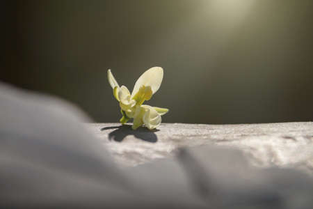 Beautiful modern residential or commercial apartment flat building exterior. Fragment of New luxury house and home flat complex. Real estate.の写真素材