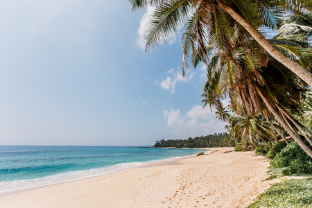 White sand & blue water in Tangalle. Amanwella beach with thin palm trees in the southern province of Sri Lanka. Majestic bay in Indian Ocean. Waves breaking on the tropical most beautiful beach.の写真素材