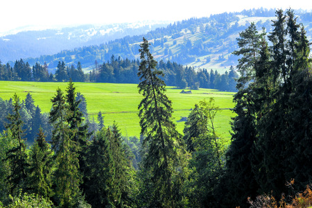Idyllic Landscape in The Tatra With Fresh Coloured Meadows and Pastures. High Tatras Mountains in The Background, Poland.の写真素材