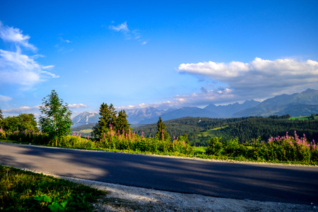Idyllic Landscape in The Tatras With Fresh Coloured Meadows and Flowers. High Tatras Mountains Tops in The Background, Polandの写真素材