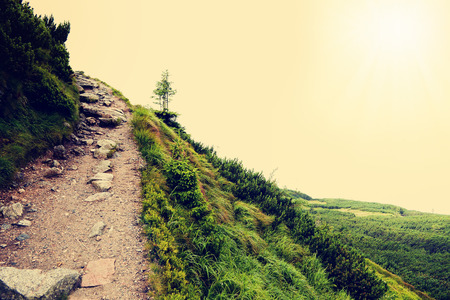 Beautiful Sunny Day.  Stone Path in High Mountain - Tatra National Park. (Filtered image:cross processed vintage effect).の写真素材