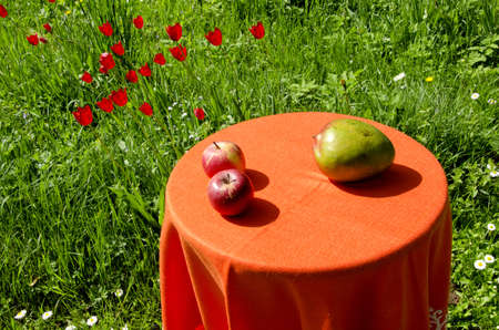 Table standing in the meadow with two apples and one peer on it. Ecological and healthy food.の写真素材