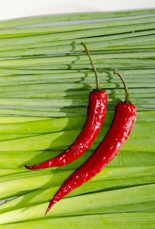Two slim red peppers on row of green orions.の写真素材