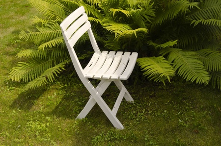 Resting place. White chair standing near fern bushes.の写真素材