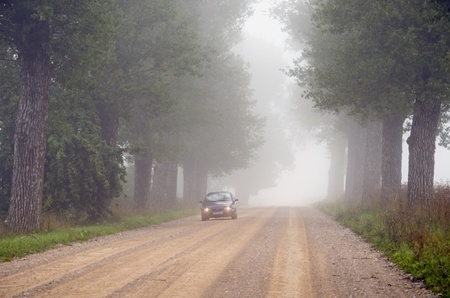 Departing in fog machine in submerged gravel avenue of old trees. のeditorial素材