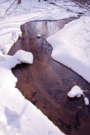 Flowing forest stream water during  winter. Coast covered with snow but water not freeze. の写真素材