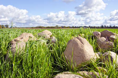 Stones stacked in pile tends to form grass surrounded by agricultural fields. の写真素材