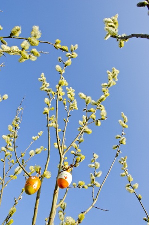 spring sign  colorful plastic egg hanging on branches  easter spring decorations on blue sky...