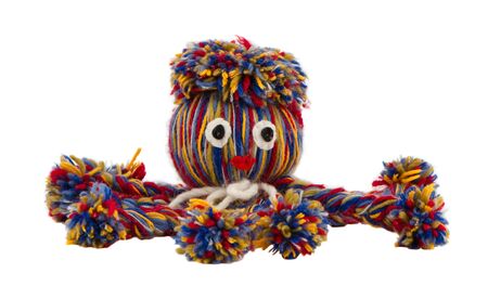 Nice sympatic octopus devilfish made of colorful woolen threads isolated on white background  Handmade home decor  の写真素材