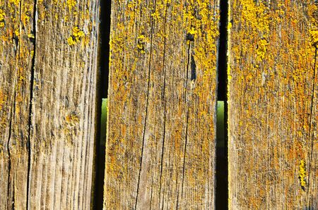 Background of mossy wooden bridge plank board closeup  の写真素材