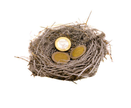 small silver bird nest and euro coins money isolated on white background  の写真素材