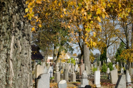 view of cemetery graveyard grave monuments cross and colorful trees in autumn  の写真素材