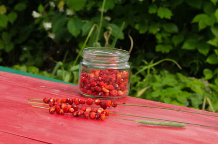 wild forest strawberries in pot and string on bent wisp on red table  healthy natural seasonal fruit food  の写真素材