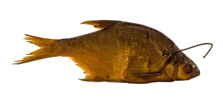 freshly smoked bream fish with hook in neck isolated on white background 