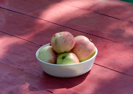 ecologic healthy apple tree fruits in white dish on red painted wooden table in rural garden yard  の写真素材