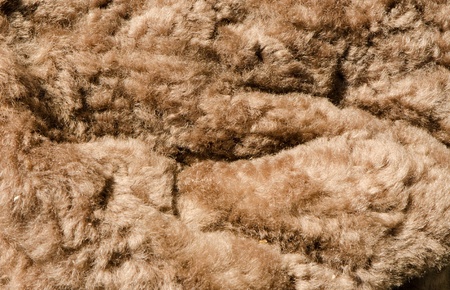 soft light brown furry background 