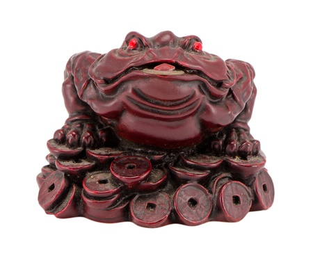 frog toad with coin in mouth symbolises sign of wealth isolated on white background. の写真素材