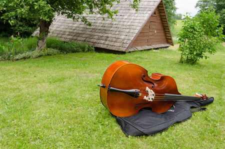 contrabass, double bass musical instrument on summer village grass の写真素材