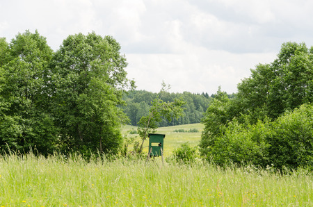 small green hunter watch tower in nature forest scenery  の写真素材