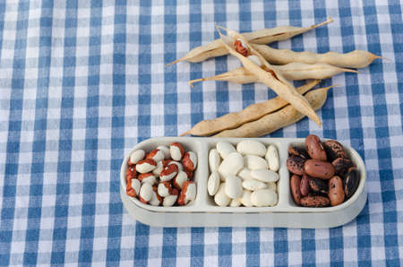 mix of winter dried organic beans on small three piece plate on plaid background 