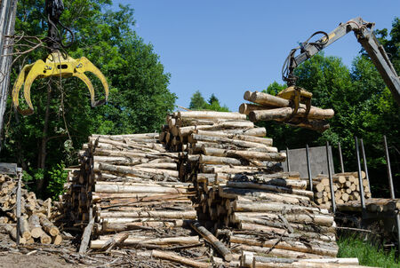 Crane claw moving and big stack of logs near truck trailerの写真素材