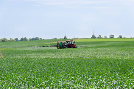 tractor with nozzles fertilizing grown crops from diseases and pests 