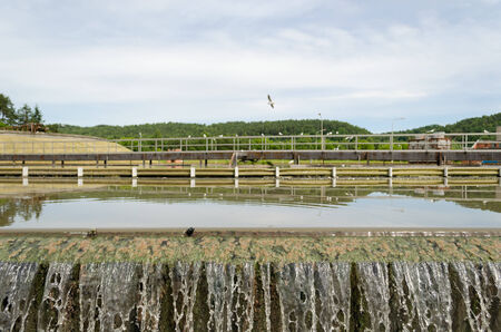 Closeup of water flow filtration sedimentation step in water treatment plant equipment. Birds fly. の写真素材