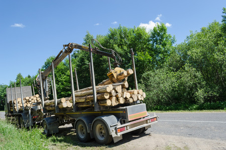 heavy forest machinery trailer with cut log pile stand along gravel road の写真素材