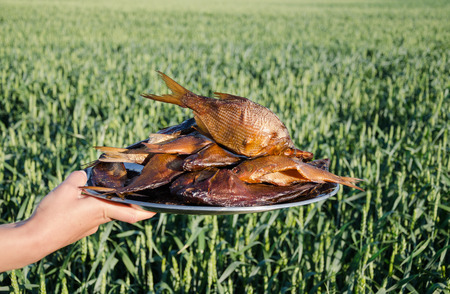 female hand holds plate with smoked fish rudd (Scardinius erythrophthalmus )の写真素材