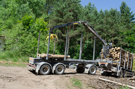 Worker man load felled tree logs with timber crane to heavy truck trailer for transportation. Forestry industry. のeditorial素材