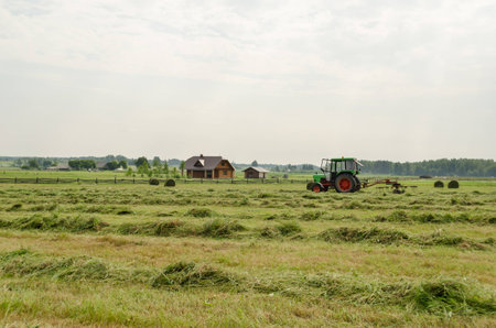 tractor turning raking cut hay with rotary rakes in agriculture field. Seasonal farm works. の写真素材