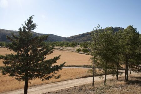 piasaje sky and mountains. landscape, sky and mountainsの写真素材