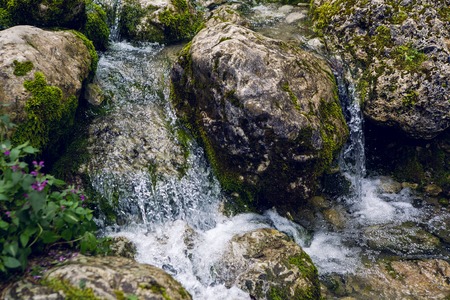 rapid stream with rocks and moss in Abkhaziaの写真素材