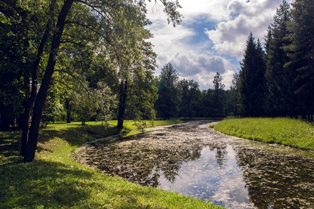 beautiful day landscape with a lake, a river, treesの写真素材