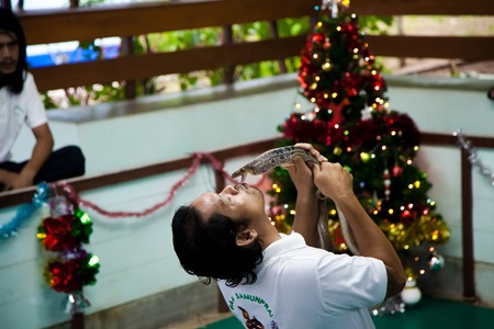 Koh Samui, Thailand - December 14 : guy is a snake handler in the arena of kissing a Cobra for the entertainment of tourists on the Day of St. Lucia, December 14, 2012.のeditorial素材