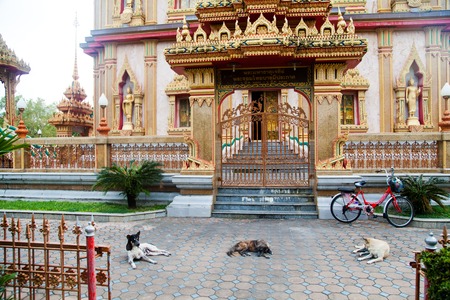 Phuket, Thailand - December 21 : temple Wat Chalong built in 1809-1824 , the view from the observation deck on large property with lawns and pools on the Day of St. Lucia in December 21, 2012.のeditorial素材