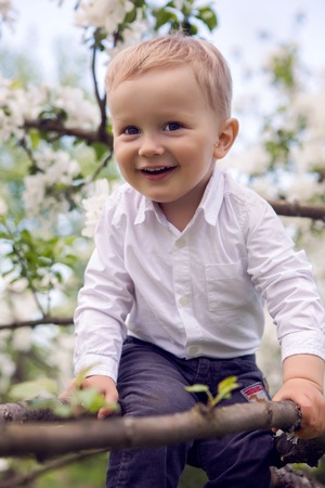 little boy blond in a white shirt and blue pants sitting on flowered tree Apple tree white flowersの写真素材