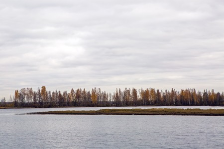 panorama of lake with autumn trees in the background in St. Petersburgの写真素材