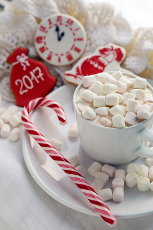 white Cup of cocoa on a saucer, marshmallows and a candy stand on the sill of the windowの写真素材