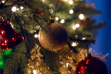 Christmas decorations on a big green tree in the roomの写真素材