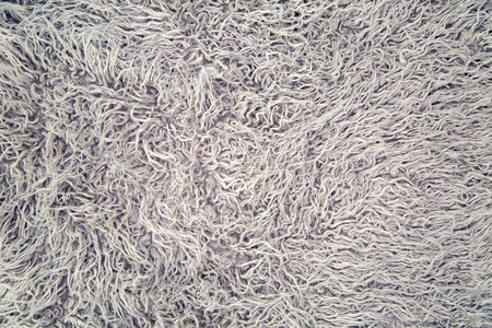 small long grey fur of the animal