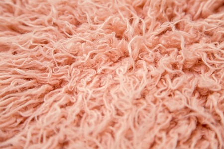 orange large long fur from the animal llamaの写真素材