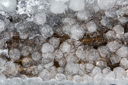Ice droplets frozen in a dark tree on the street