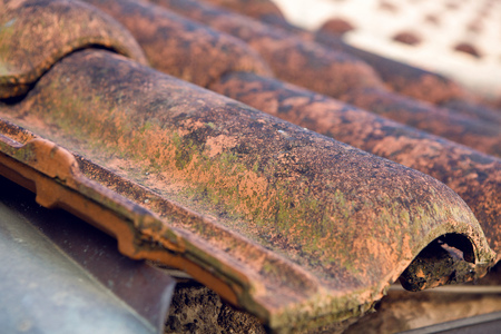 orange clay tiles on the roof with dry branchesの写真素材
